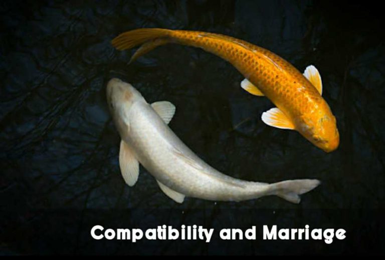 Read more about the article The Great Misconception  About Compatibility And Marriage- 2