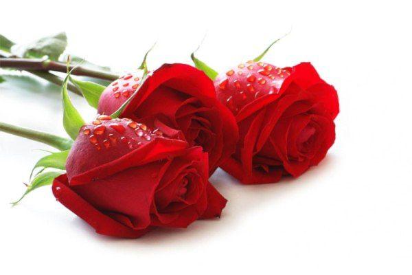 Read more about the article Is There Still Any Dignity In keeping One’s Virginity?